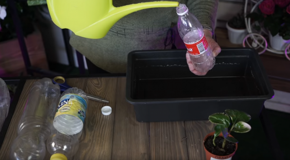 Bouchez le trou résultant avec votre doigt et versez de l'eau dans la bouteille.