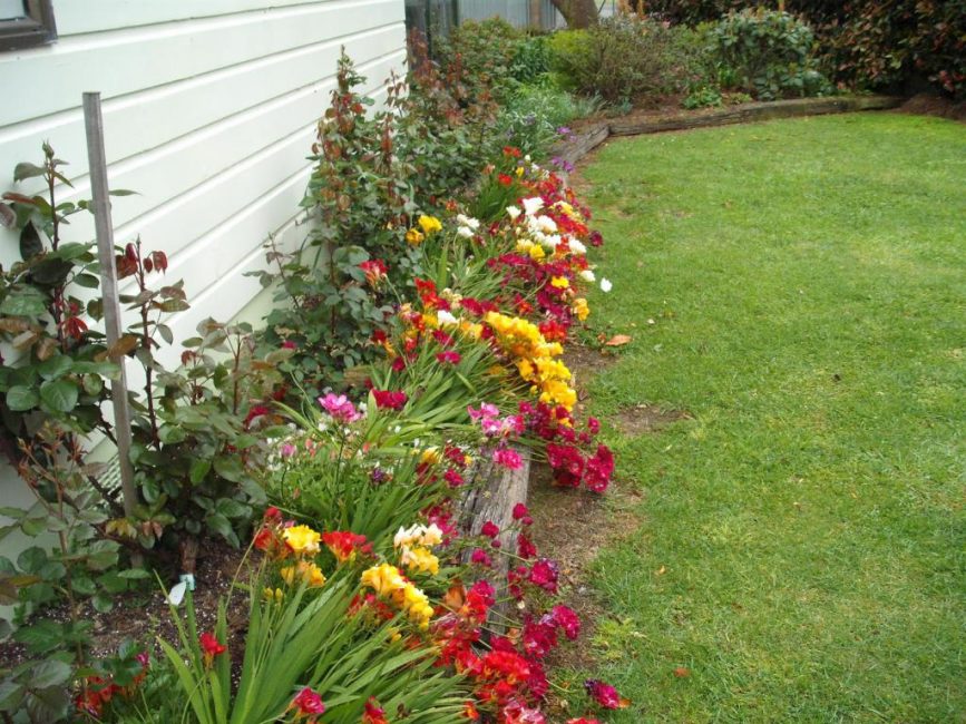 Utilisation à des fins décoratives