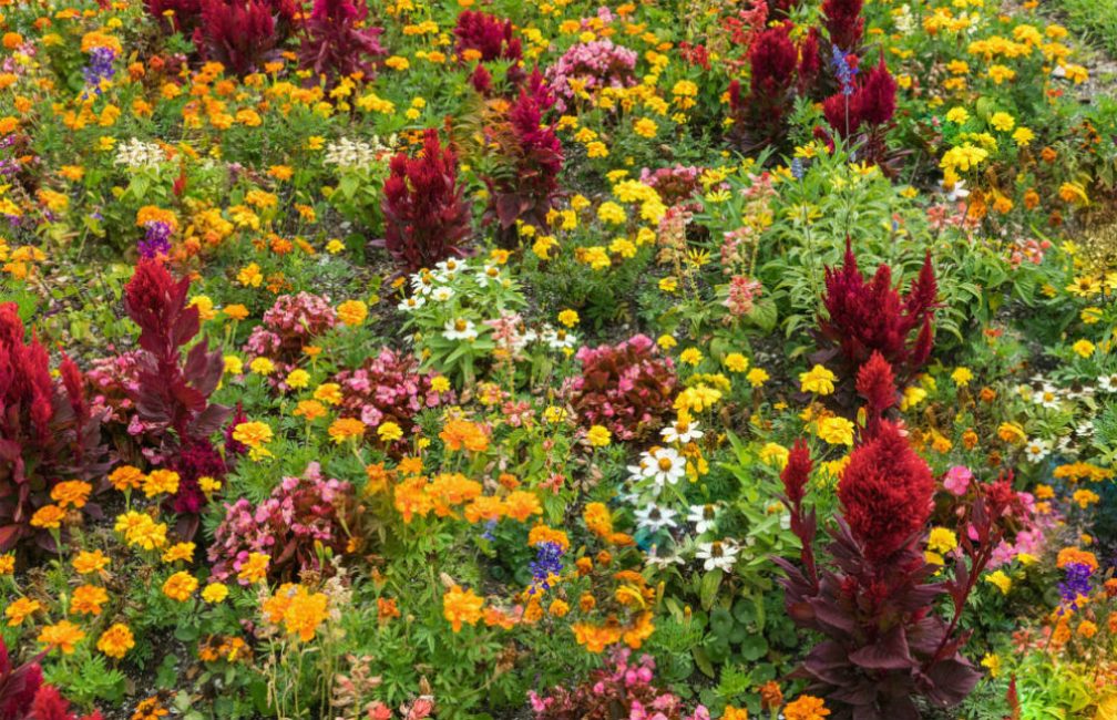Dans toute combinaison, l'harmonie doit être observée.