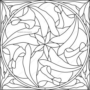 (120+ photos et vidéos)