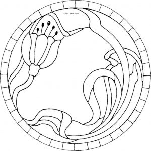 (120+ photos et vidéos)