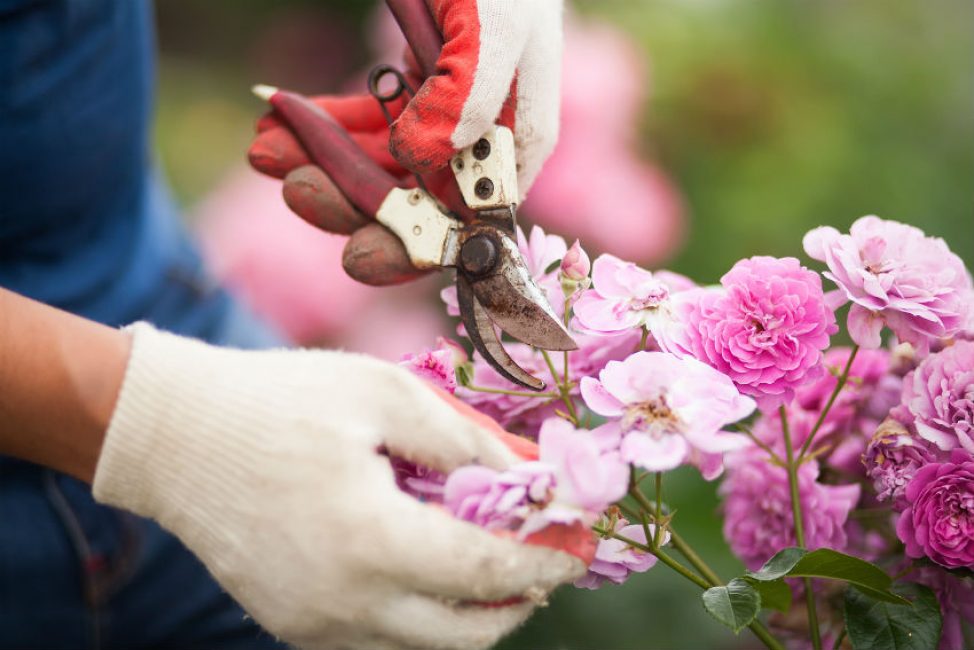 Un équipement de protection est requis lors du travail pour éviter les blessures