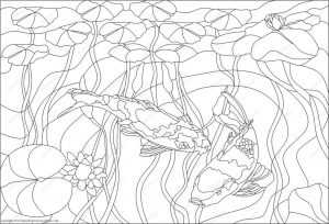 (120+ photos et vidéos)