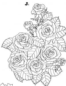 (120+ photos et vidéos)