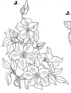 (120+ photos et vidéos)