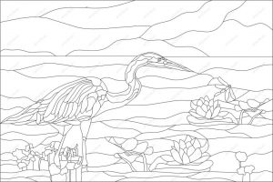 (120+ photos et vidéos)