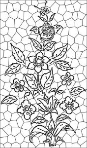 (120+ photos et vidéos)