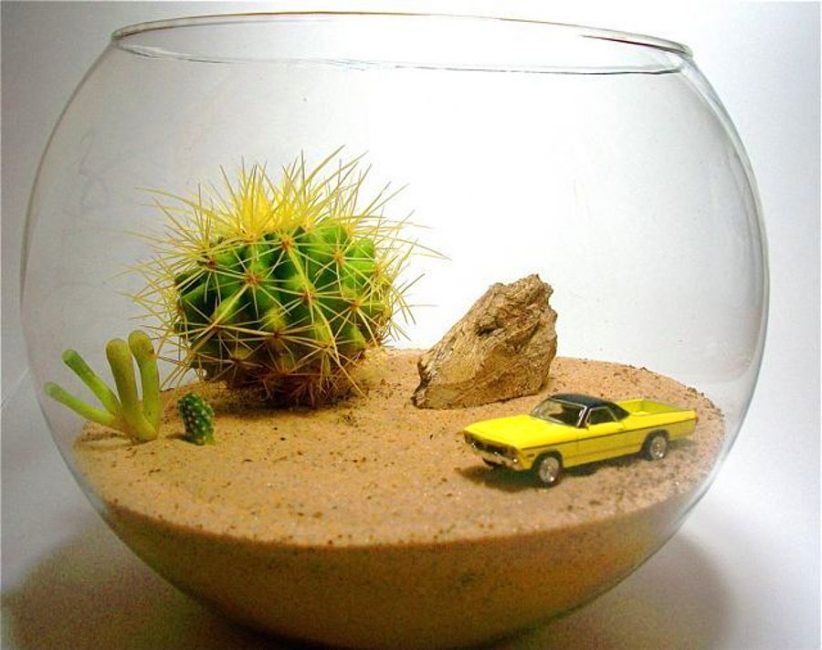 L'idée du florarium semi-désertique