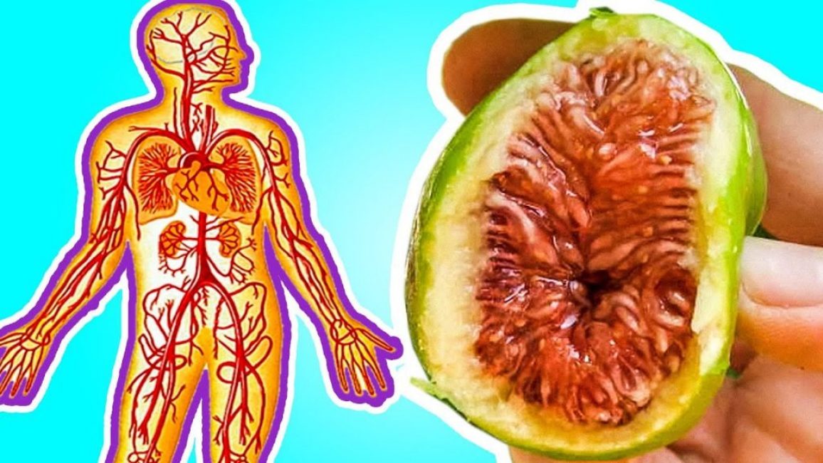 Les bienfaits des figues pour les systèmes vitaux du corps