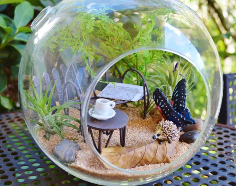 Possibilité de créer un terrarium pour les enfants