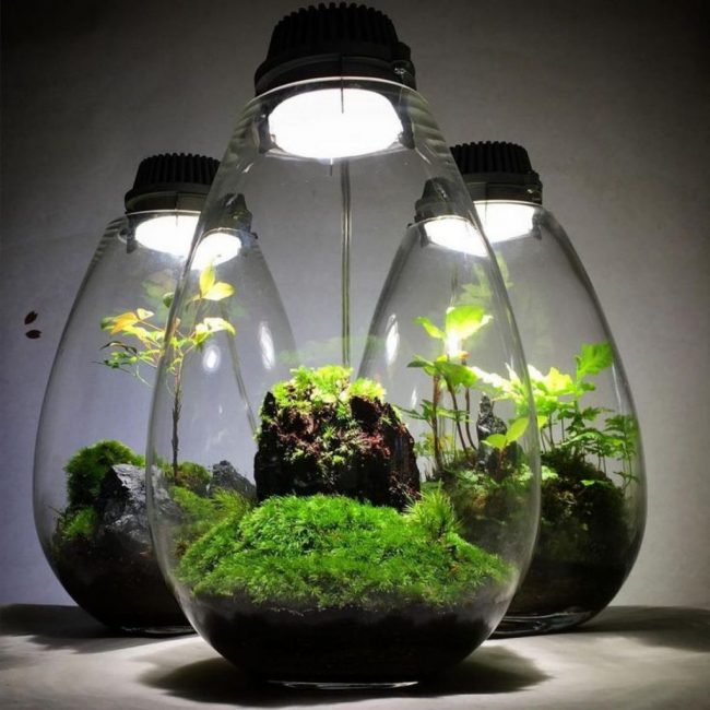 Mini jardin illuminé