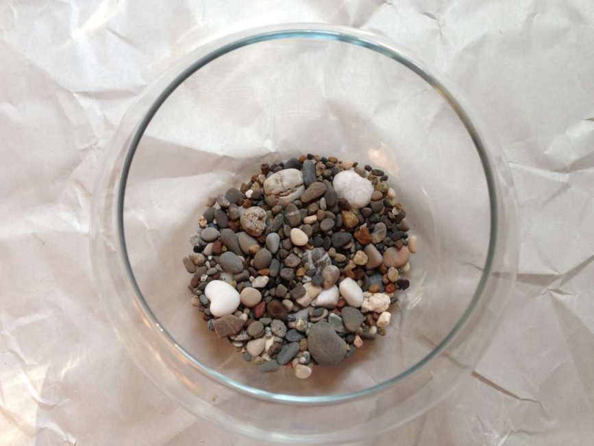 Remplir le fond du florarium de petits cailloux