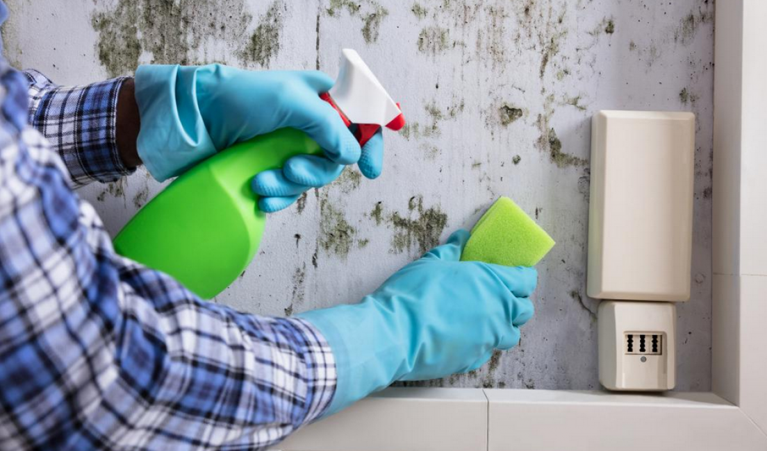 Utilisation de produits chimiques contre les champignons