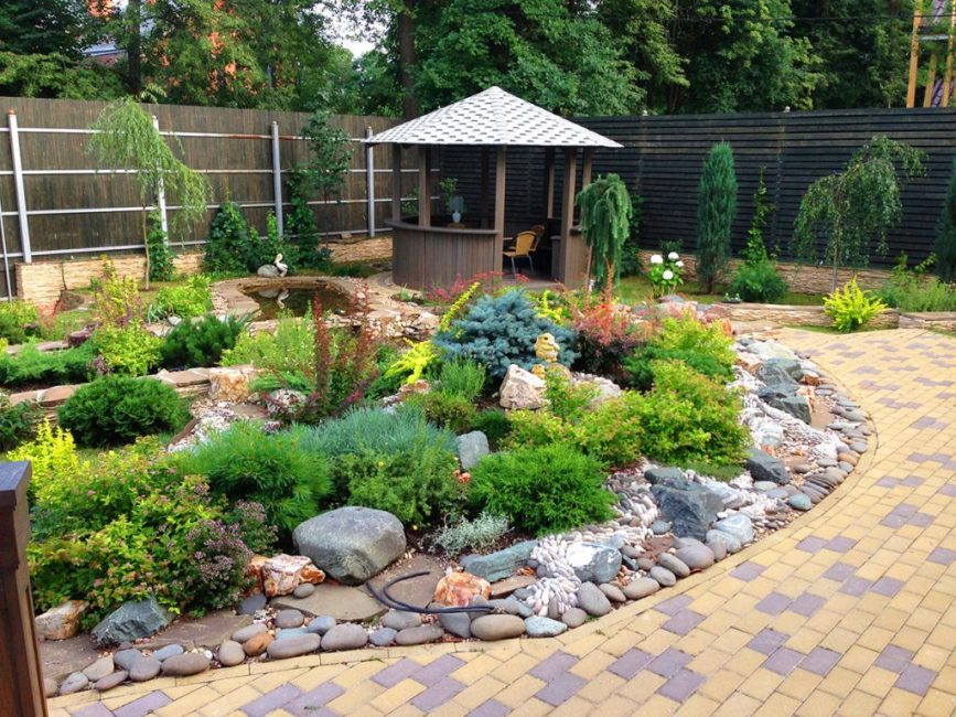 Composition avec des conifères