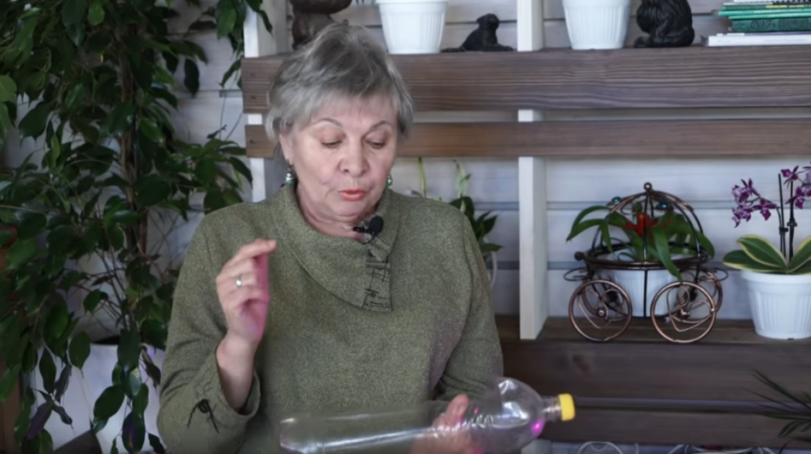 Lorsque les graines germent, vous pouvez couper complètement la fenêtre et accrocher la bouteille sur le côté sud de la remise. Ainsi, vous pouvez économiser de l'espace sur les lits.