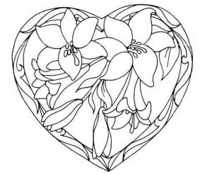 (120+ photos et vidéos)