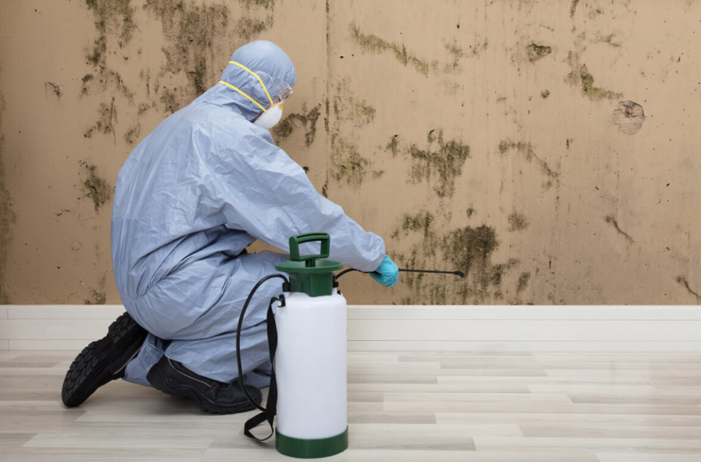 Ionisation et assainissement