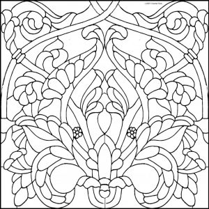 (120+ photos et vidéos)