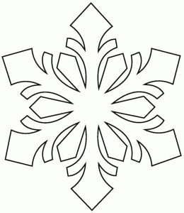 (120+ photos et vidéos)