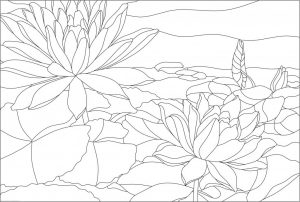 (120+ photos et vidéos)