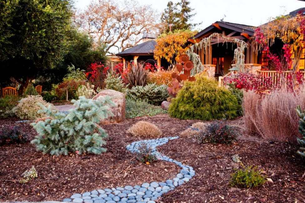 En octobre, tu as tellement envie de luminosité