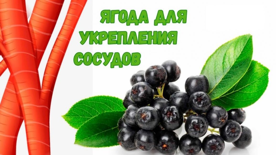 aronia