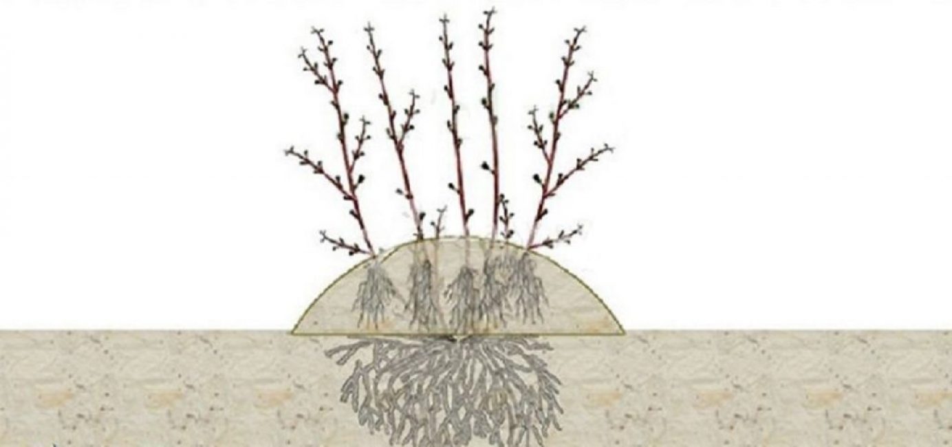 Formation de couches verticales