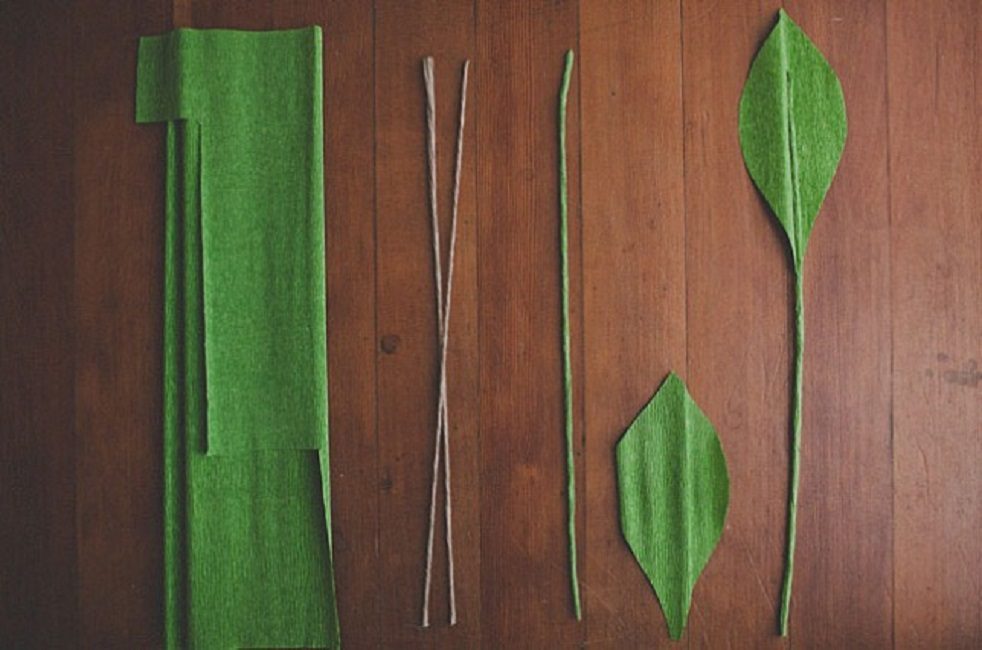 préparation des feuilles