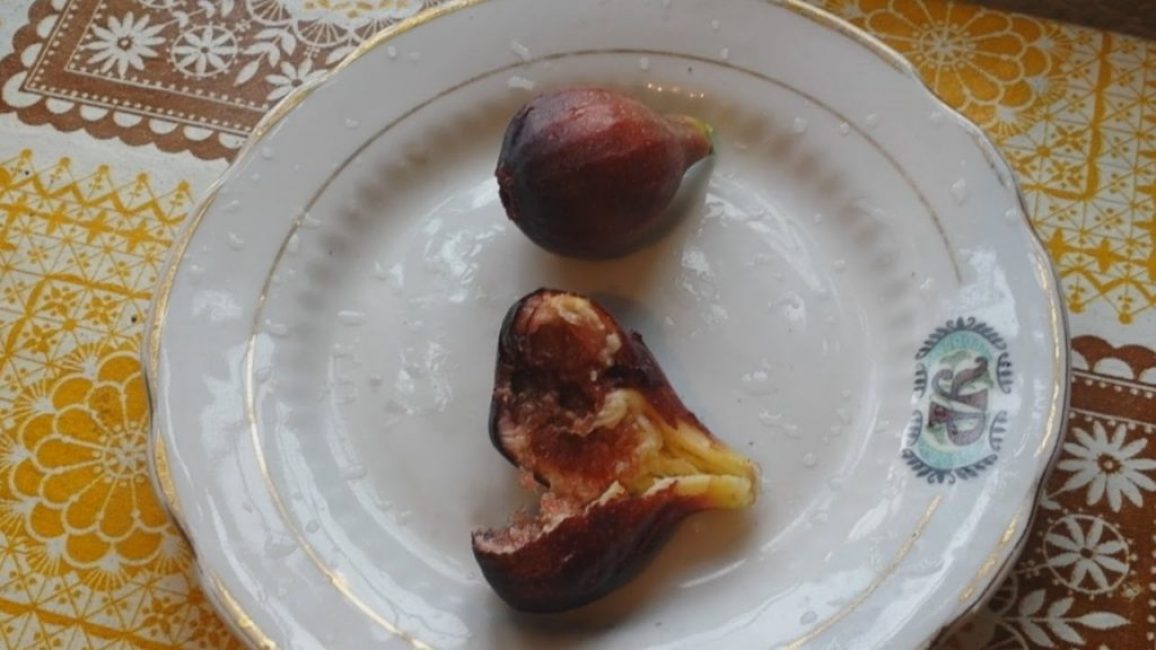 Figues - Variété noire de Crimée