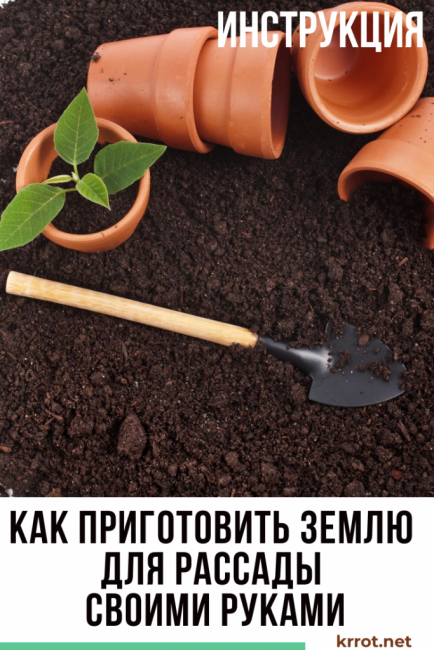 Comment préparer le sol pour les semis