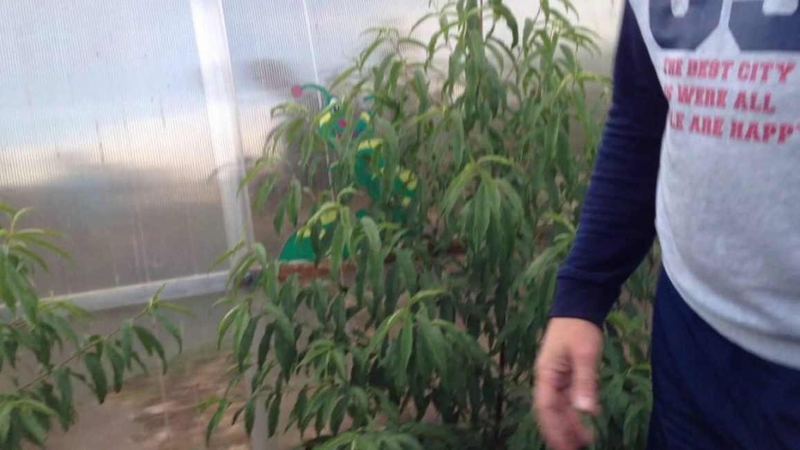 Pêches dans l'Oural