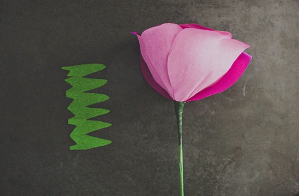 Attachement à la base de la fleur du calice