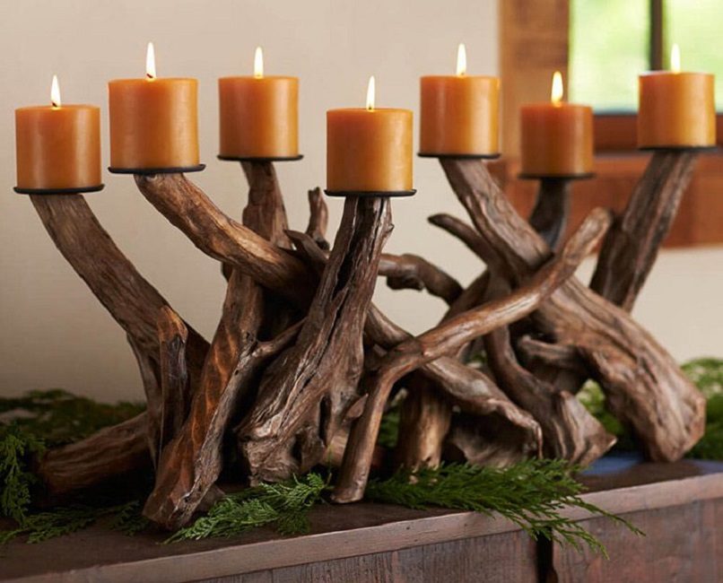 Des racines fortes et larges créent l'atmosphère d'une cabane forestière