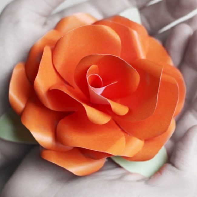 Papier crépon rose