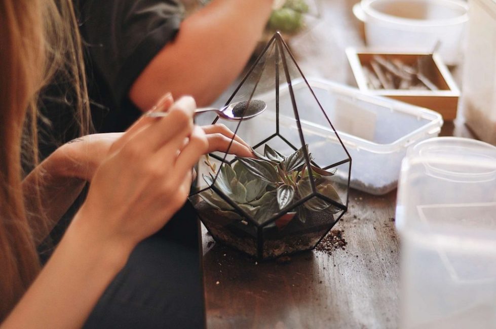 Création d'un florarium