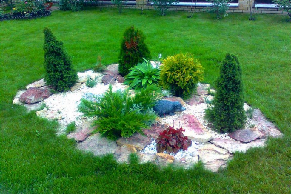 Dispositif de rocaille