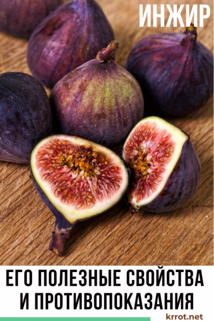 figues propriétés utiles et contre-indications