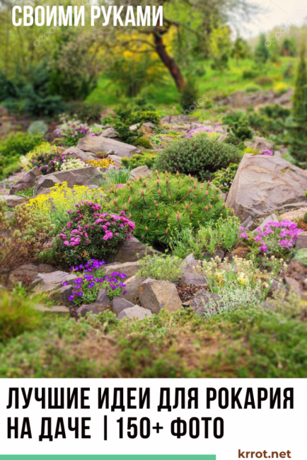 Rockery dans le pays avec leurs propres mains