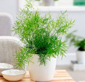 (50+ Photos & Vidéos) + Avis