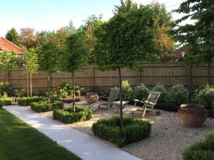 (100+ photos et vidéos)