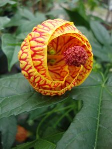 (50+ Photos & Vidéos) + Avis