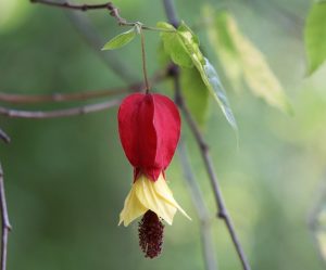 (50+ Photos & Vidéos) + Avis