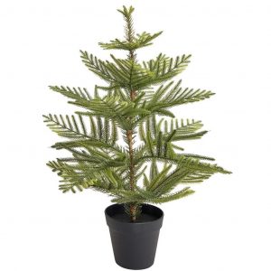 (65+ Photos & Vidéos) + Avis