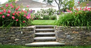 (100+ photos et vidéos)