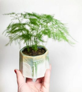 (50+ Photos & Vidéos) + Avis