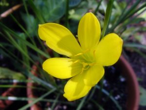 (60+ Photos & Vidéos) + Avis