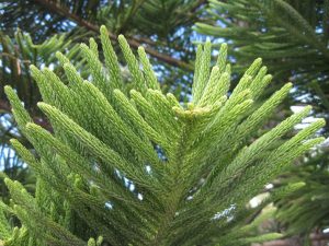 (65+ Photos & Vidéos) + Avis