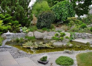 (100+ photos et vidéos)