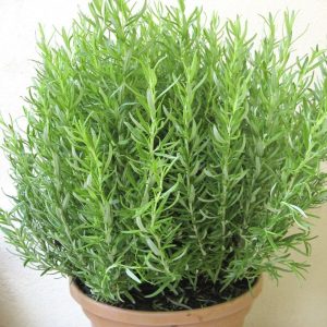 (50+ Photos & Vidéos) + Avis