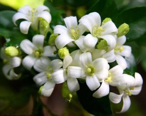 (65+ Photos & Vidéos) + Avis